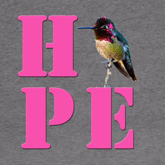 HOPE - Anna's Hummingbird Photo by DeniseBruchmanPhotography